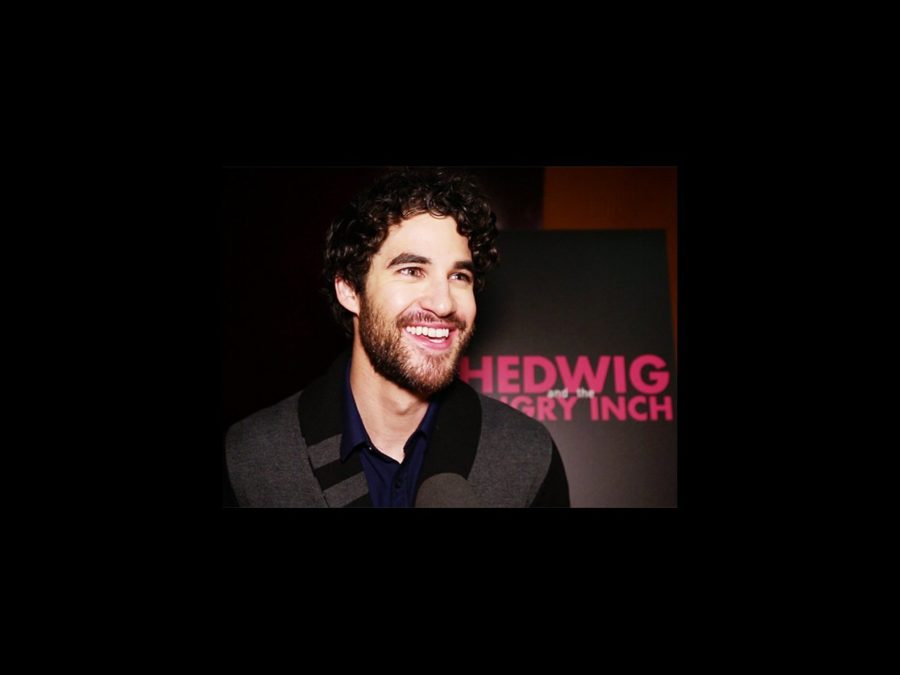 VS - Hedwig - Darren Criss - wide - 4/15